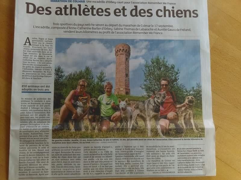 Dernières Nouvelles d&rsquo;Alsace