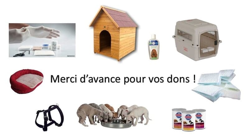 Que pouvez-vous donner pour aider le refuge?