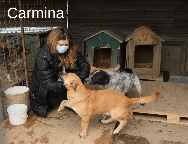Merci de cliquer pour le refuge de Carmina!