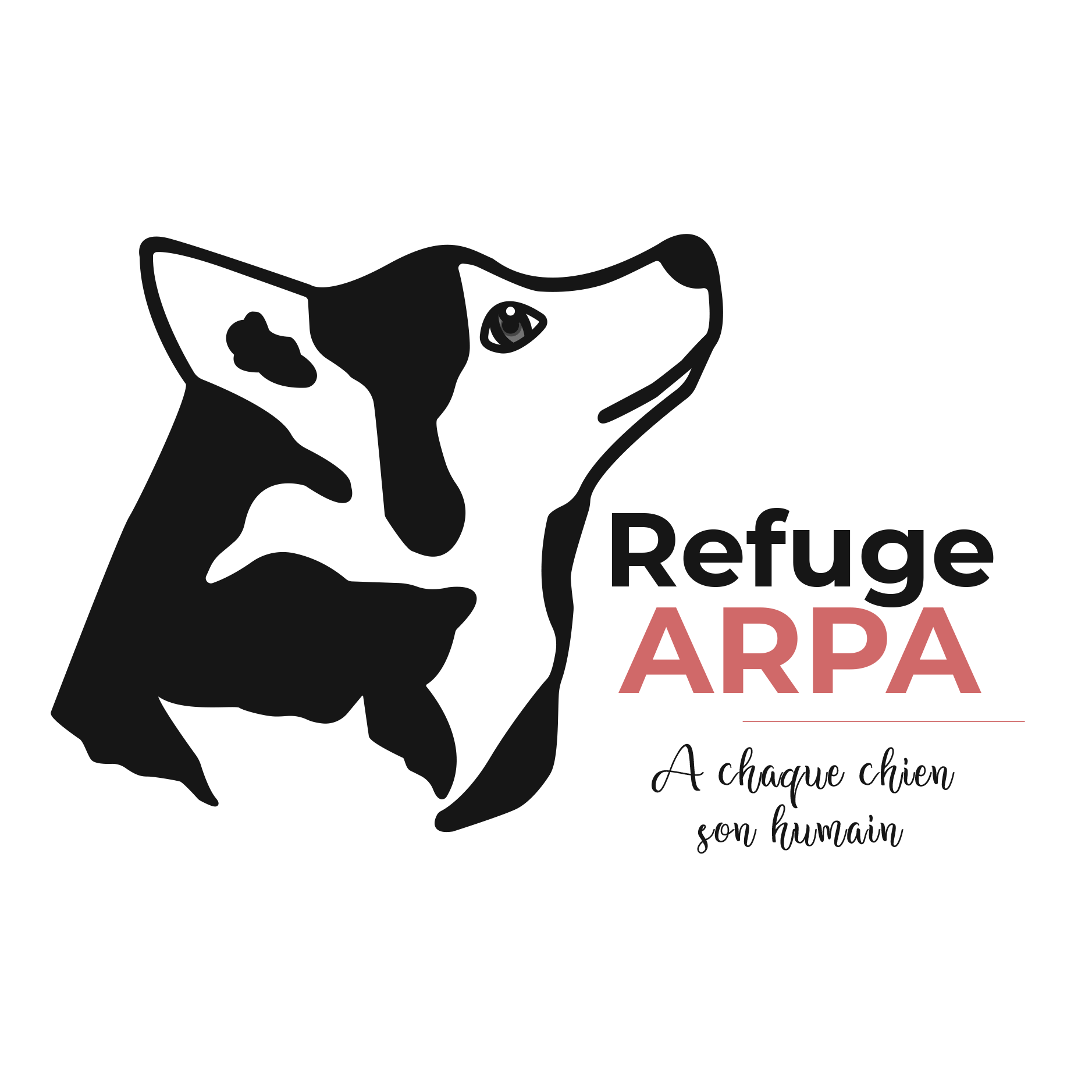 Merci à l&rsquo;ARPA (91) pour les pâtées pour nos chiots !