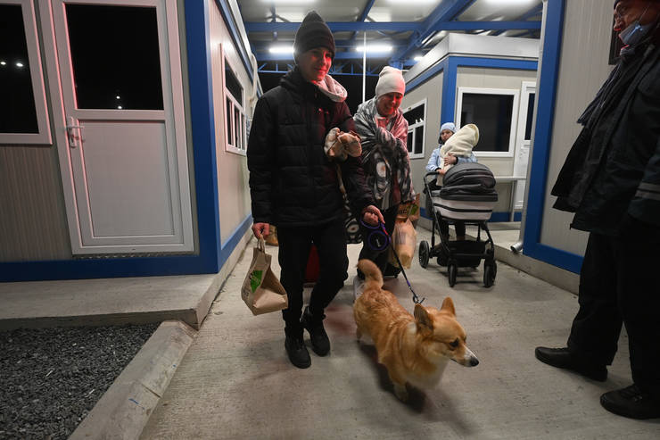 Solidaritate franco-română în ajutorul refugiaților și animalelor din Ucraina