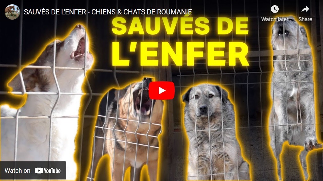 Sauvés de l&rsquo;enfer