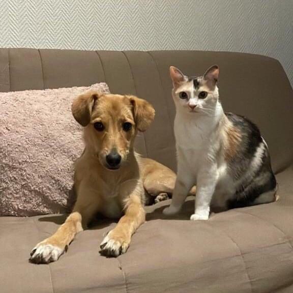 Poopy (ex Haley) & Opale (ex Maelya)